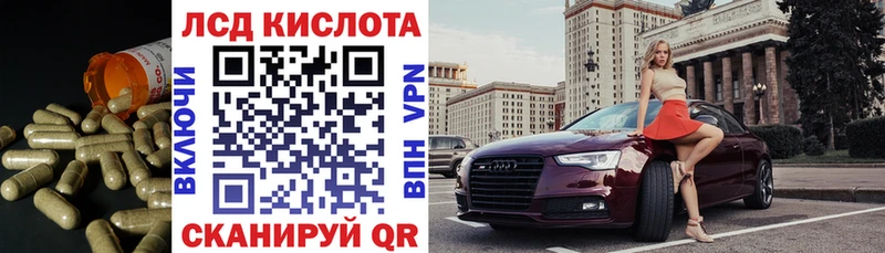 где купить наркотик  Приморск  LSD-25 экстази ecstasy 