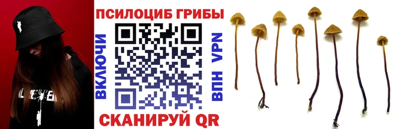 Псилоцибиновые грибы мухоморы  Приморск 